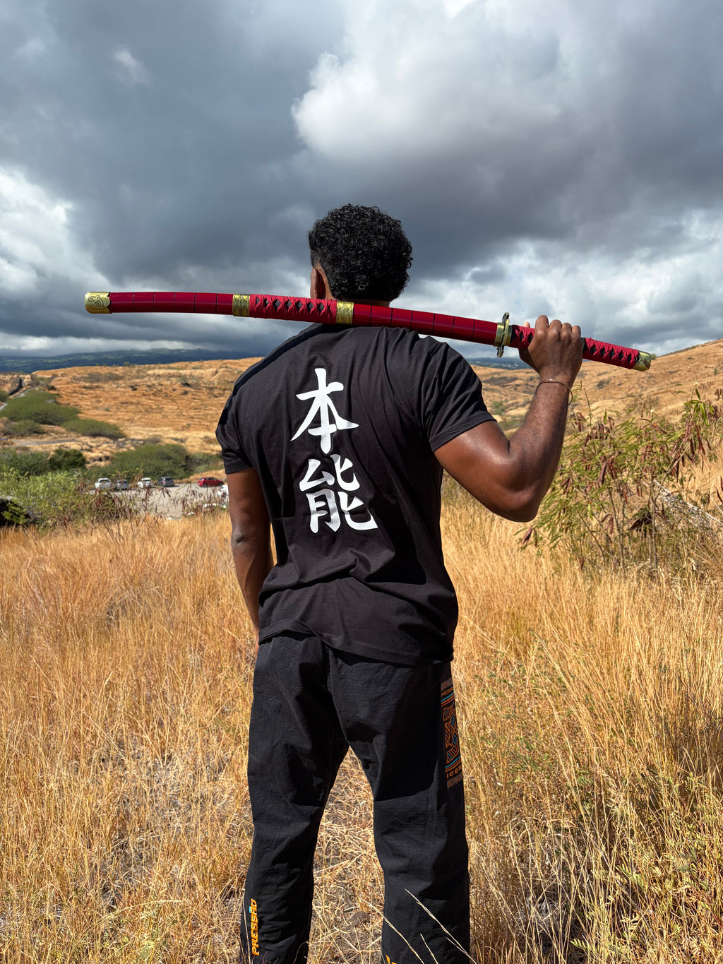 Tshirt kanji « INSTINCT »